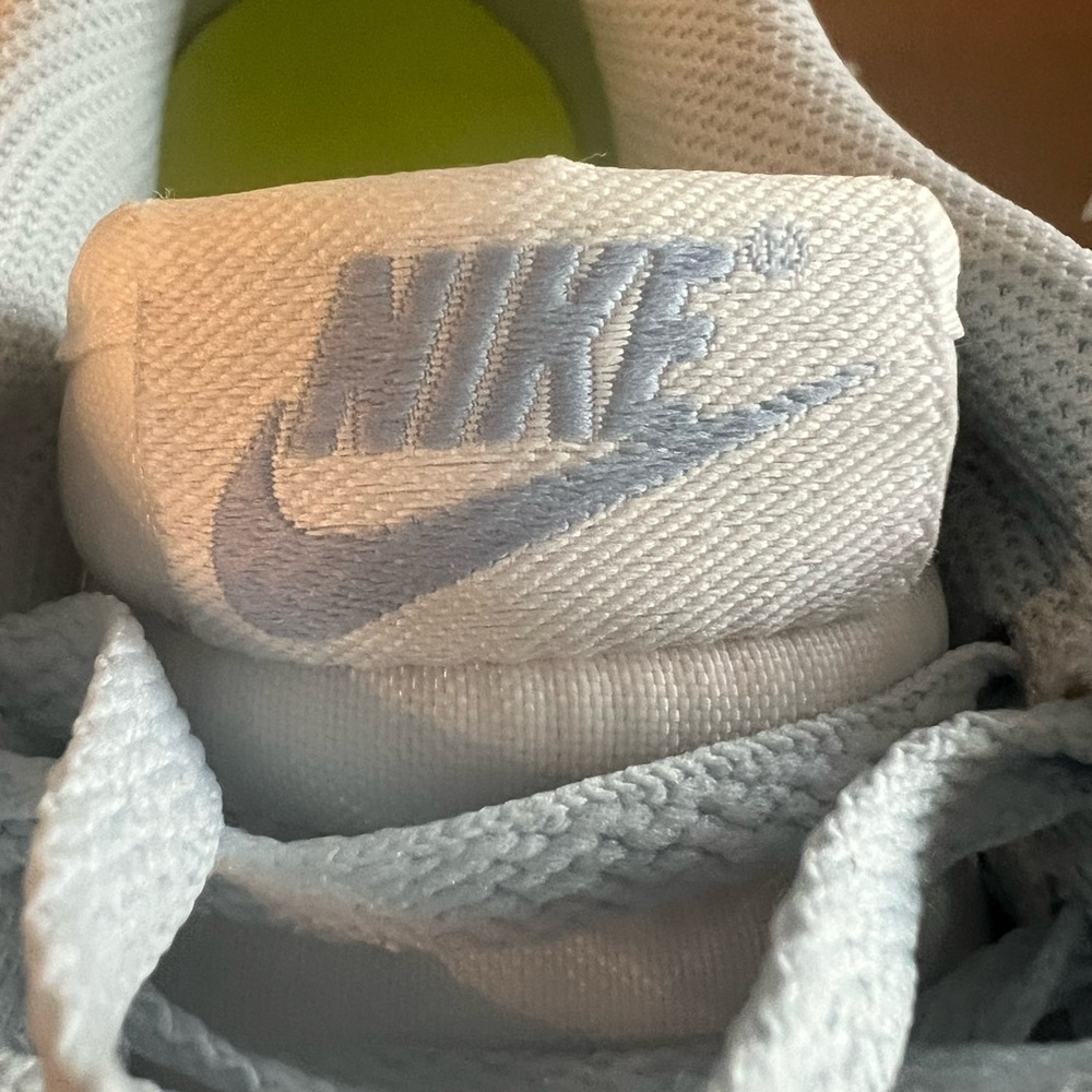 New in box - Nike Dunk Low Next to Nature blue tint